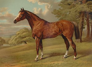 स्टिल्टन ए हंटर, c1879। द्वारा एल्डफ्रेड शेल्डन विलियम्स