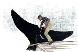  द्वारा एलेसेंड्रो लोनाटी