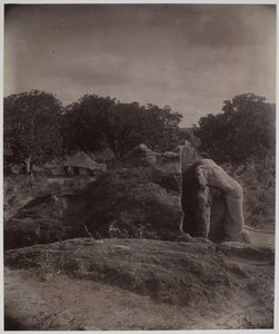  द्वारा अलेक्जेंडर कैडी