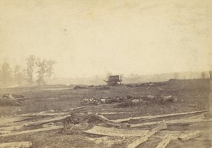 सितंबर 1862, 1862, एंटिएटम के युद्धक्षेत्र पर देखें। द्वारा अलेक्जेंडर गार्डनर