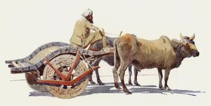 एक बैलगाड़ी, जोधपुर