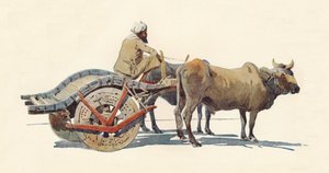 एक बैलगाड़ी, जोधपुर, c1880 1905। द्वारा अलेक्जेंडर हेनरी हल्लम मरे
