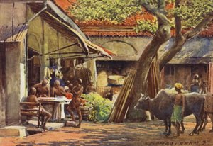 द मार्केट, कोलंबो