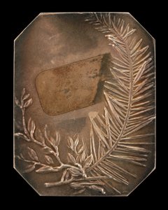 लॉरेल और एवरग्रीन [रिवर्स], 1897 की आपस में जुड़ी हुई शाखाएँ।