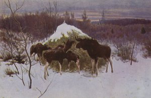 एल्क का झुंड, 1889