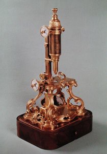लुई अगस्टे डी'अल्बर्ट डी'एली (1678-1744) ड्यूक ऑफ चाउल्स से संबंधित माइक्रोस्कोप, c.1751 (सोने का पानी चढ़ा हुआ कांस्य और लकड़ी) द्वारा एलेक्सिस मैगी