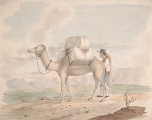  द्वारा अल्फ्रेड डिस्टोन