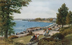 Torbay रोड, Torquay द्वारा अल्फ्रेड रॉबर्ट क्विंटन