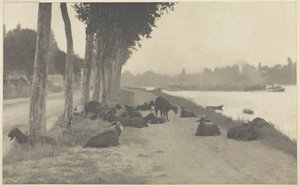 सीन पर—पेरिस के पास, 1894, 1897 मुद्रित। द्वारा अल्फ्रेड स्टिग्लिट्ज़