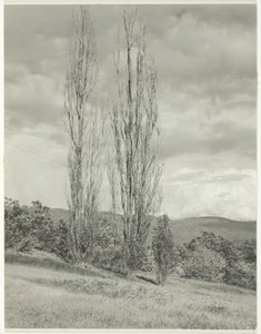 पोपलर-लेक जॉर्ज, 1935। द्वारा अल्फ्रेड स्टिग्लिट्ज़