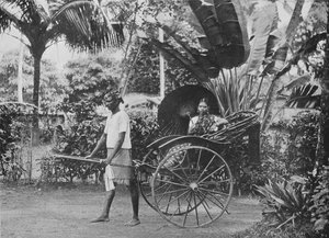 रिक्शा में तमिल महिला, c1890, 1910