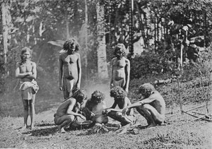 वेदाह या जंगली पुरुष, c1890, 1910