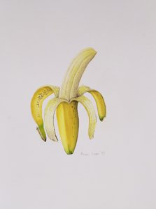 एक आधा छिलका केले, 1997