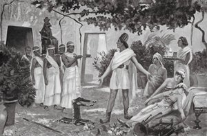  द्वारा एलन स्टीवर्ट