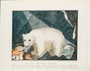 द व्हाइट बियर, 1844