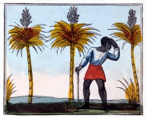 कटिंग गन्ना, 1826 द्वारा अमेलिया एल्डरसन ओपी
