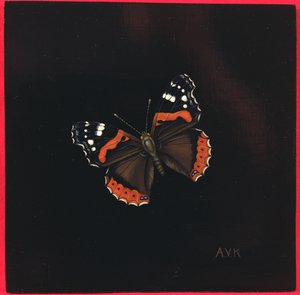 रेड एडमिरल तितली, 2001