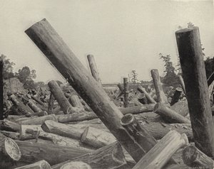 सेंट क्रोक्स नदी, विस्कॉन्सिन में एक लॉग जाम (बी / डब्ल्यू फोटो) द्वारा अमेरिकी फ़ोटोग्राफ़र (बाद में)