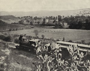 तुला, मेक्सिको के पास (बी/डब्ल्यू फोटो) द्वारा अमेरिकी फ़ोटोग्राफ़र (बाद में)