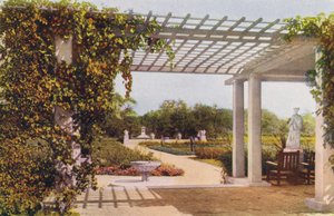  द्वारा अमेरिकी फोटोग्राफर