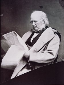 होरेस ग्रीले (1811-72) (बी/डब्ल्यू फोटो) द्वारा अमेरिकी फोटोग्राफर