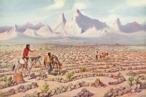 सुइयों, कैलिफोर्निया (रंगीन फोटो) के पास मोजेव भारतीयों के रहस्यवादी भूलभुलैया द्वारा अमेरिकी फोटोग्राफर
