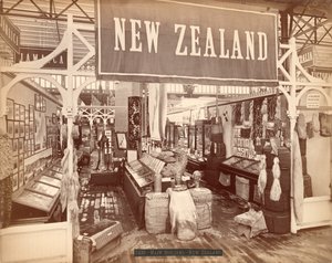 न्यूजीलैंड, शताब्दी अंतर्राष्ट्रीय प्रदर्शनी, 1876 (एल्बम प्रिंट) द्वारा अमेरिकी फोटोग्राफर