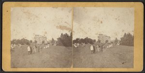 नॉर्थ फ्रंट एंड लॉन, वनडा कम्युनिटी, न्यूयॉर्क स्टेट, c.1870 द्वारा अमेरिकी फोटोग्राफर