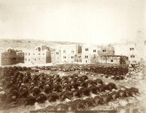 1898-1911 अग्रभूमि में छिपाई के साथ हेब्रोन में टेनरी द्वारा अमेरिकी फोटोग्राफर