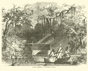 दक्षिणी दलदलों में कपास की होड, जुलाई 1862 द्वारा अमेरिकी स्कूल