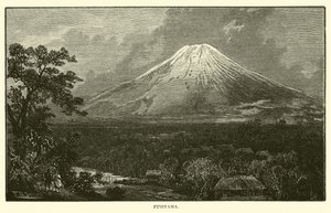 Fusiyama द्वारा अमेरिकी स्कूल