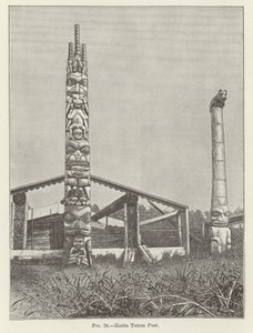 Haida Totem Post  द्वारा अमेरिकी स्कूल