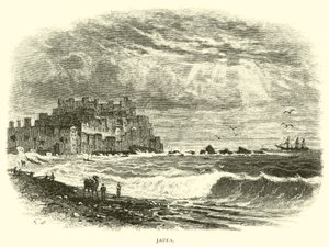 जफा द्वारा अमेरिकी स्कूल