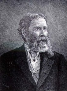 जेम्स रसेल लोवेल (1819-1891) (उत्कीर्णन) द्वारा अमेरिकी स्कूल