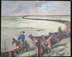 लॉन्गहॉर्न मवेशी टेक्सास से एबिलीन, कंसास तक ड्राइव करते हैं, c.1870s (कलर लिथो) द्वारा अमेरिकी स्कूल