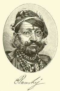महाराजा द्वारा अमेरिकी स्कूल