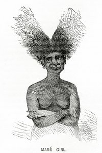 घोड़ी लड़की, एप्लेट्स जर्नल से चित्रण, 4 मई, 1872 द्वारा अमेरिकी स्कूल