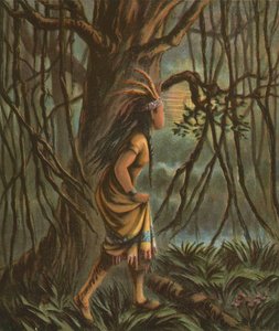 Pocahontas द्वारा अमेरिकी स्कूल