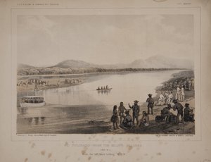  द्वारा अमेरिकी स्कूल