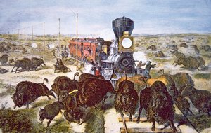 कैनसस पैसिफिक रेलरोड पर ट्रेन पैसेंजर्स, 1870 के दशक में खेल के लिए भैंस की शूटिंग (कलर लिथो) द्वारा अमेरिकी स्कूल