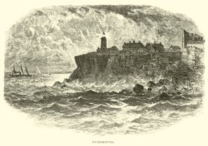 Tynemouth द्वारा अमेरिकी स्कूल