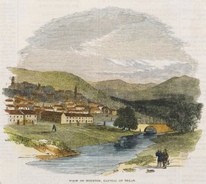 ह्यूस्टन का दृश्य, टेक्सास की राजधानी, सी। 1852 (हाथ से रंग की लकड़ी की नक्काशी) द्वारा अमेरिकी स्कूल