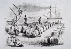 द अमेरिकन व्हेल फिशरी से बैरल में ऑइल गेजिंग व्हेलर्स, c.1850 (उत्कीर्णन) द्वारा अमेरिकी स्कूल