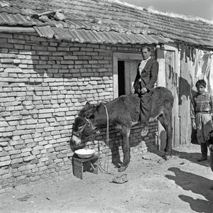  द्वारा 