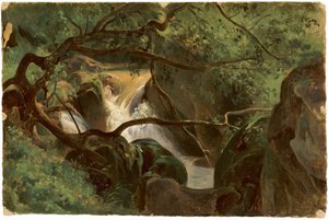 फ़ॉरेस्ट इंटीरियर विद ए वॉटरफॉल, पापिग्नो, 18251830।
