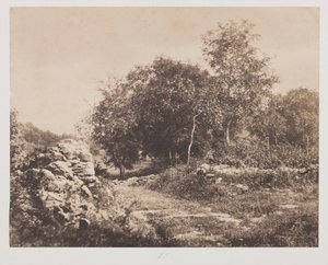 फॉनटेनब्लो के अनटाइटल्ड सीन, सी। 1853।