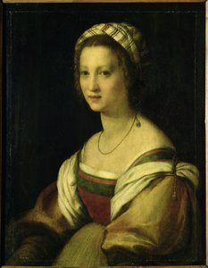 Lucrezia di Baccio del Fede, कलाकार की पत्नी, c.1513 - 14 (पैनल पर तेल)