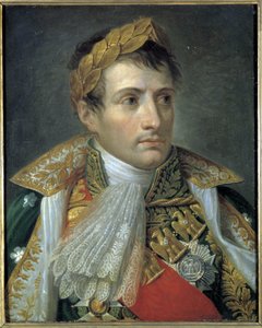 नेपोलियन I का पोर्ट्रेट, एंड्रिया अप्पियानी द्वारा पेंटिंग (1754 - 1817)। रिसोर्गिमेंटो का संग्रहालय। मिलन