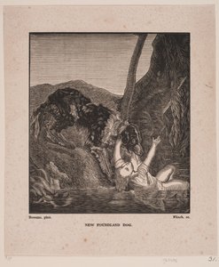  द्वारा एंड्रयू फ्लिंच