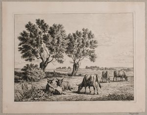 चरते मवेशियों के साथ परिदृश्य
